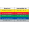 TheraBand Exercise and Stability Ball - Image 2