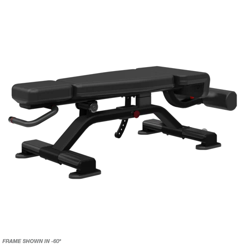 Core Health and Fitness Nautilus Adjustable Decline Bench
