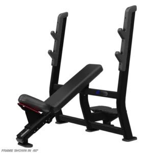 Core Health and Fitness Nautilus Incline Bench Press