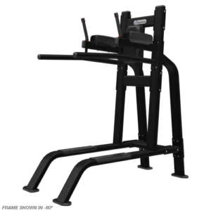 Core Health and Fitness Nautilus Leg Raise/Dip