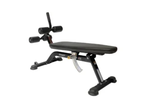 Hoist Fitness Adjustable Ab Bench