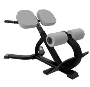 Core Health And Fitness Nautilus Instinct 45° Back Extension