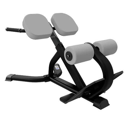 Core Health And Fitness Nautilus Instinct 45° Back Extension