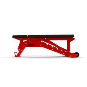 Power Lift Collegiate Series Dumbbell Bench